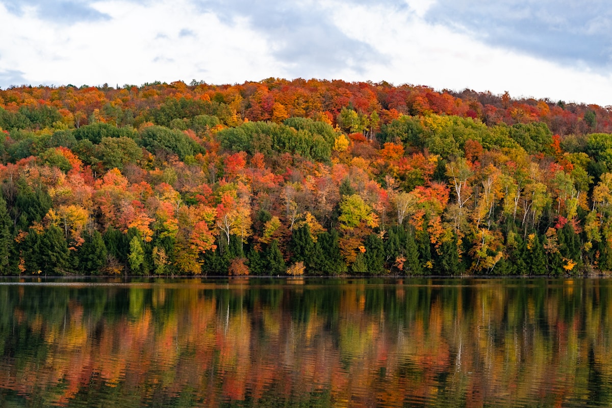 Connecticut fall foliage, sell your mortgage note in Connecticut
