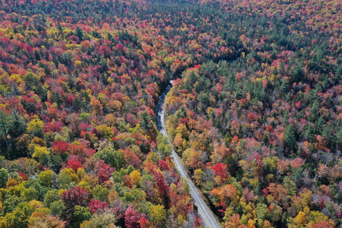 New Hampshire fall foliage mountains, sell your mortgage note in New Hampshire