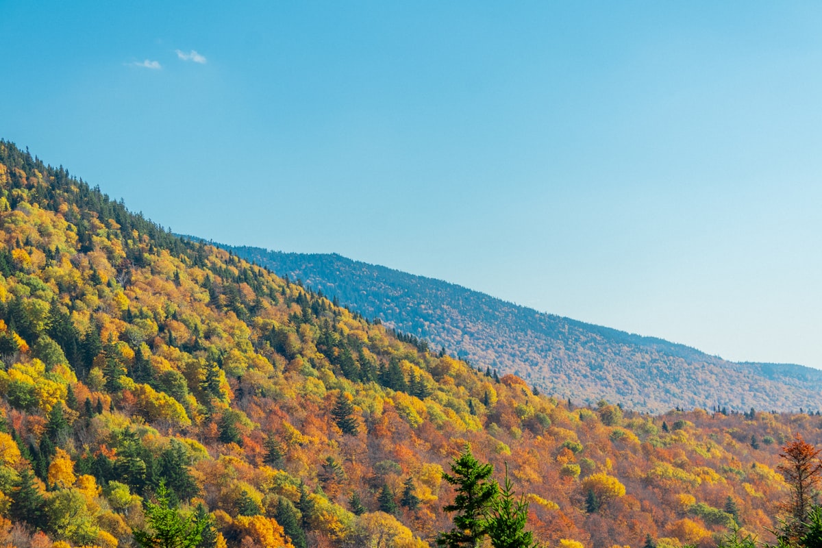 Vermont fall foliage, sell your mortgage note in Vermont