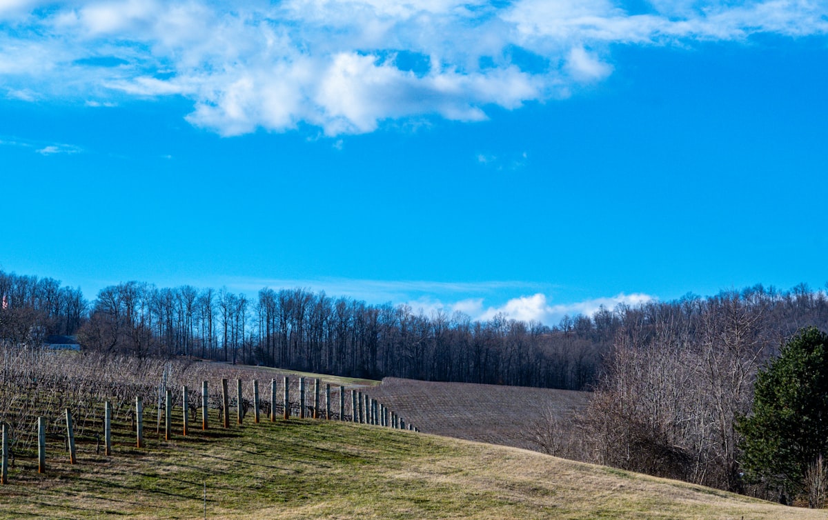 Virginia Blue Ridge Mountains, sell your mortgage note in Virginia